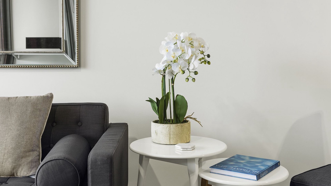 Photo of Others in Port Melbourne