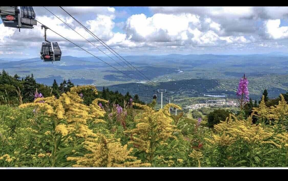 Photo of Others in Stratton Mountain