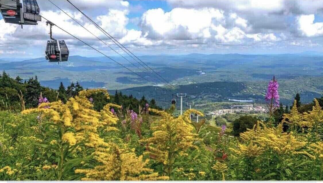 Photo of Others in Stratton Mountain