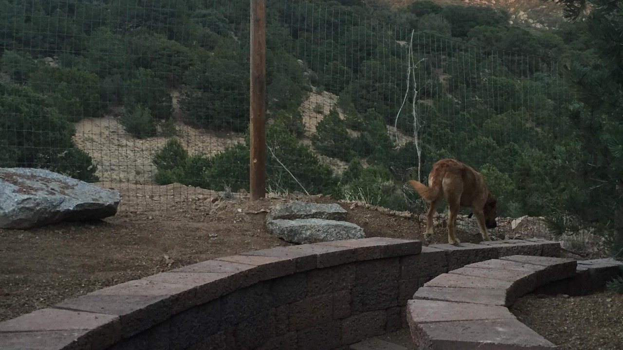 Photo of Outdoor in Placitas