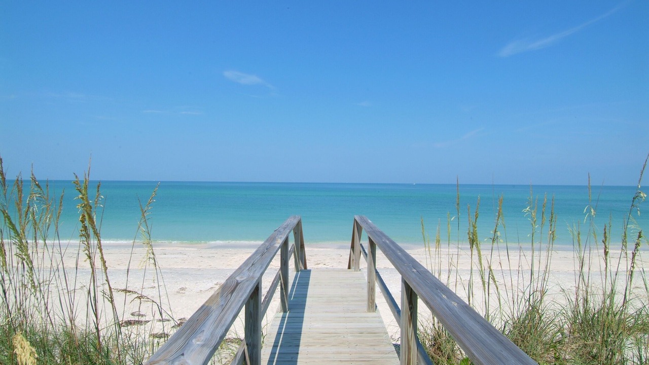 Photo of Others in Sarasota Springs