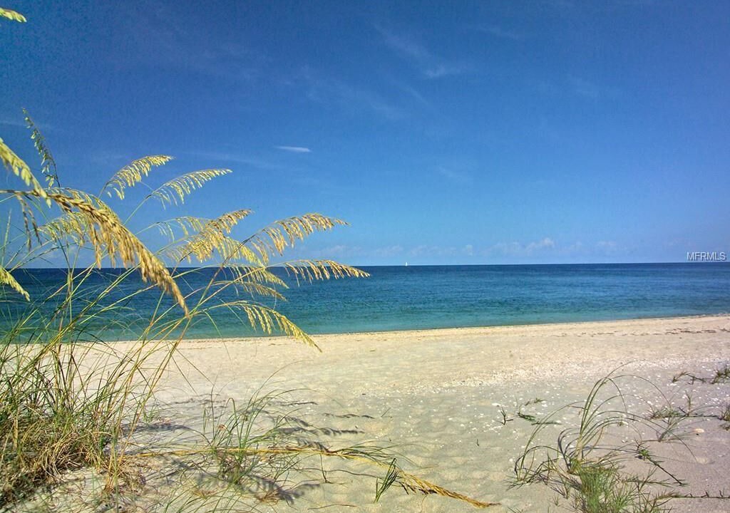 Photo of Others in Sarasota Springs