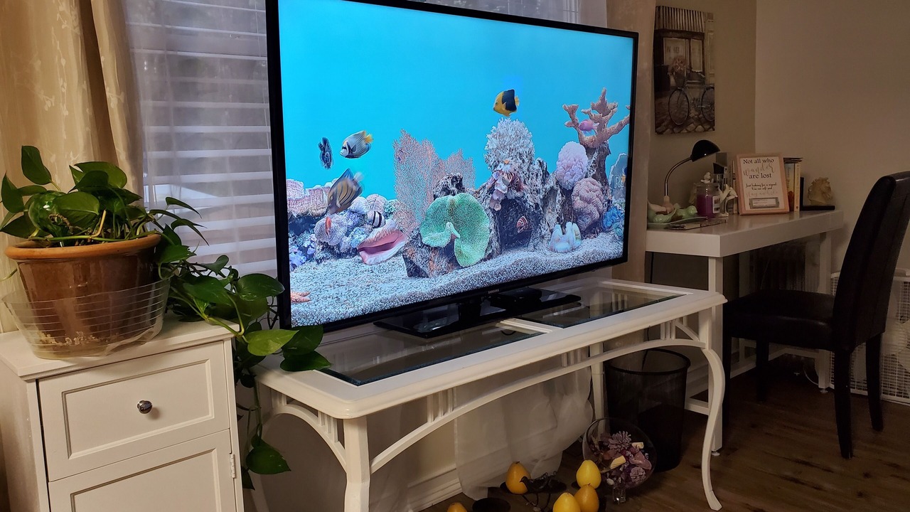 Photo of Others in White