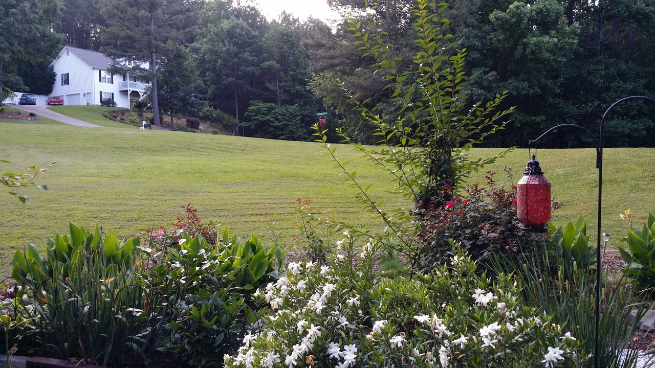 Photo of Others in White