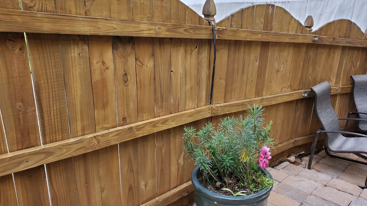 Photo of Others in White