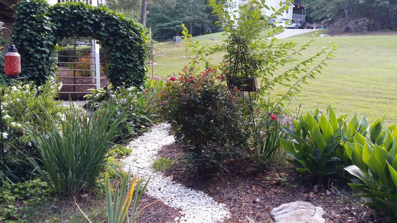 Photo of Others in White