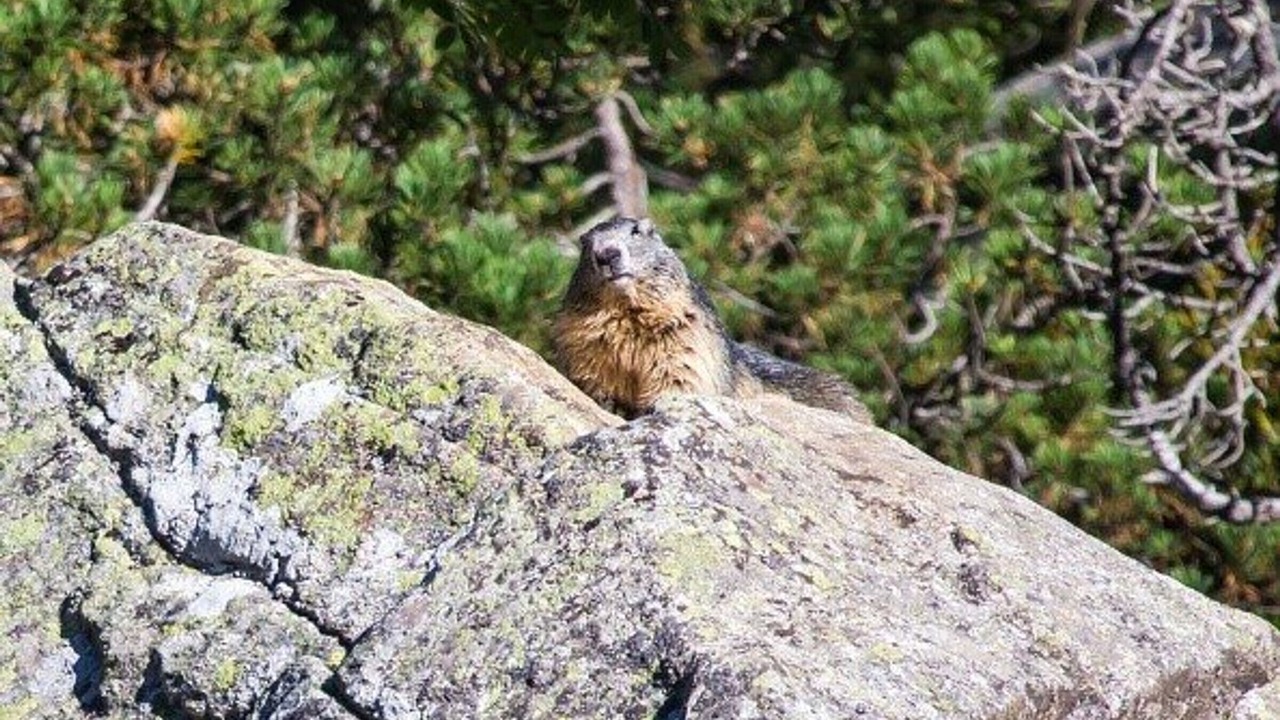 Photo of Outdoor in Cauterets