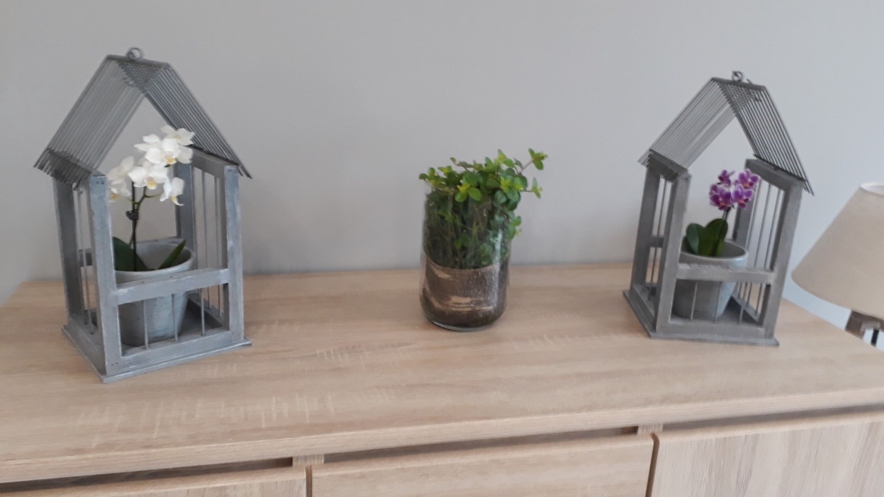 Photo of Others in Liesville-sur-Douve