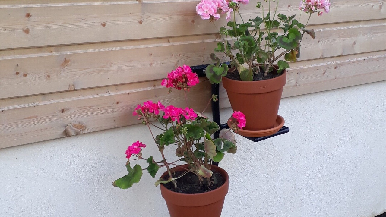 Photo of Outdoor in Liesville-sur-Douve