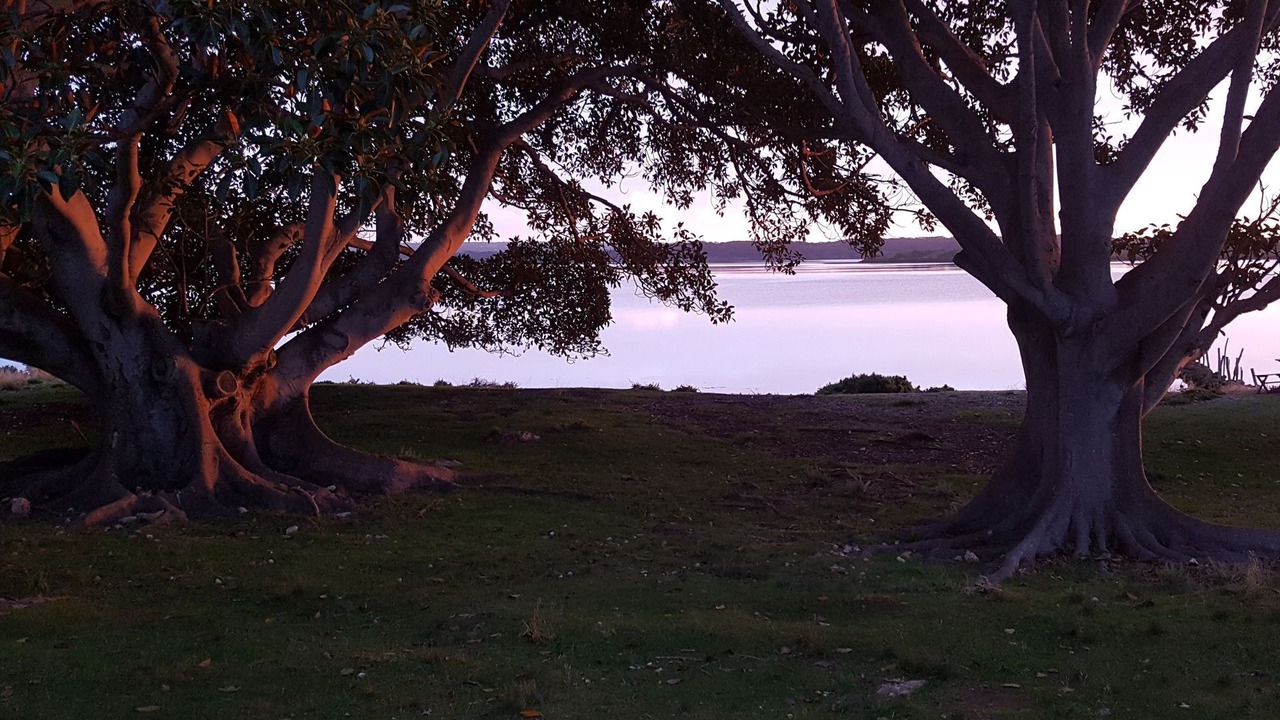 Photo of Outdoor in Pelican Lagoon
