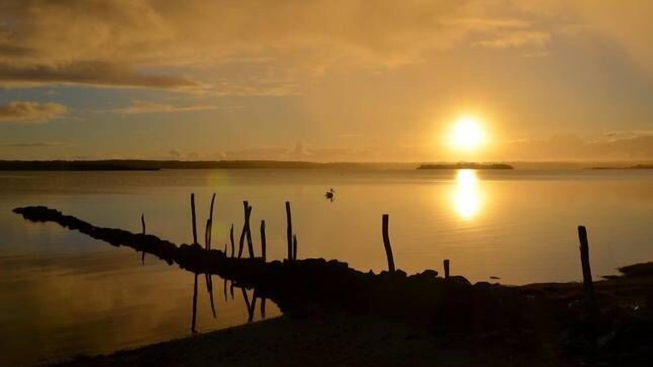 Photo of Others in Pelican Lagoon