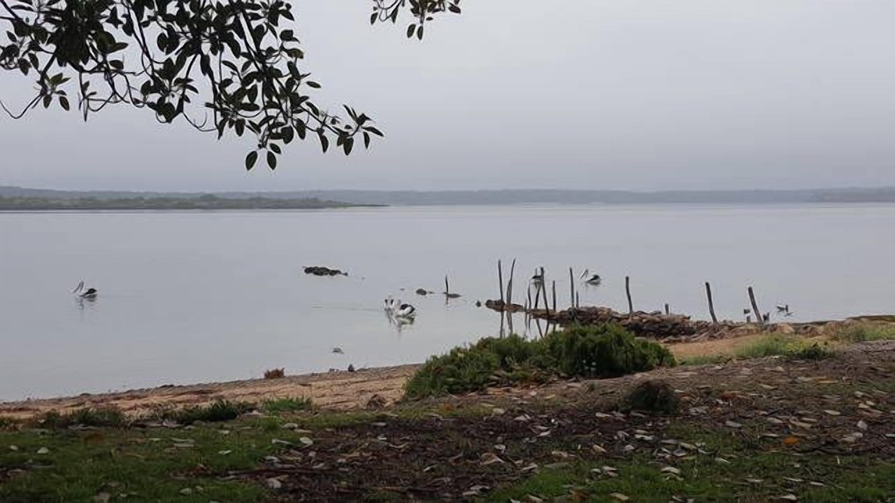 Photo of Others in Pelican Lagoon