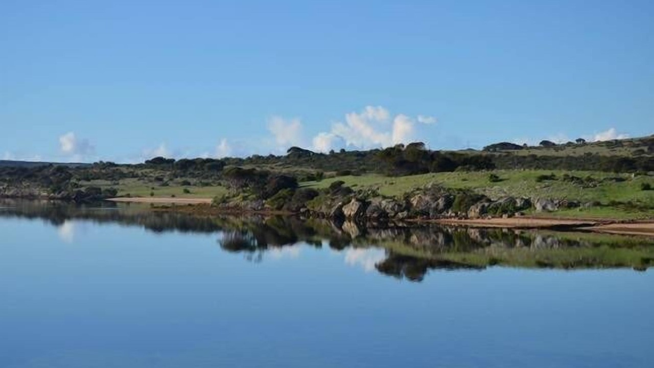 Photo of Others in Pelican Lagoon