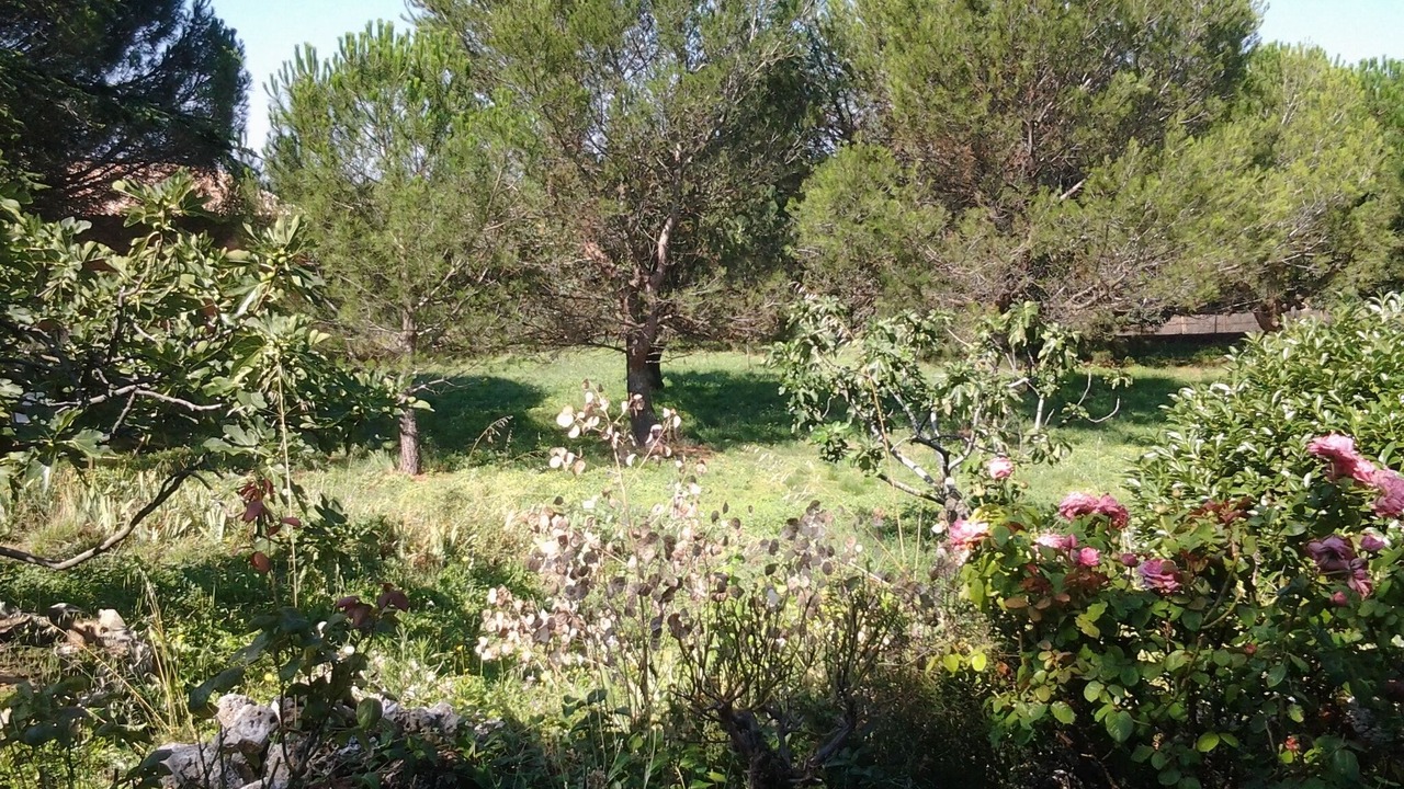 Photo of Outdoor in La Capelle-et-Masmolene