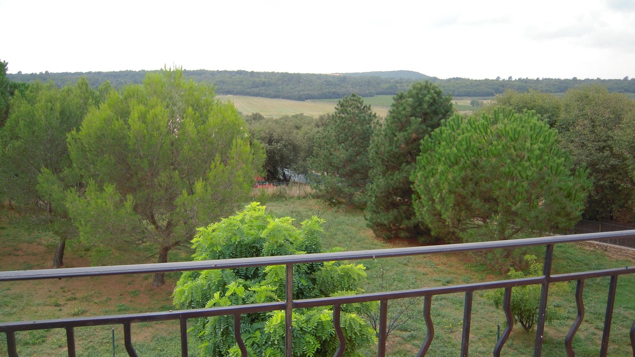 Photo of Outdoor in La Capelle-et-Masmolene