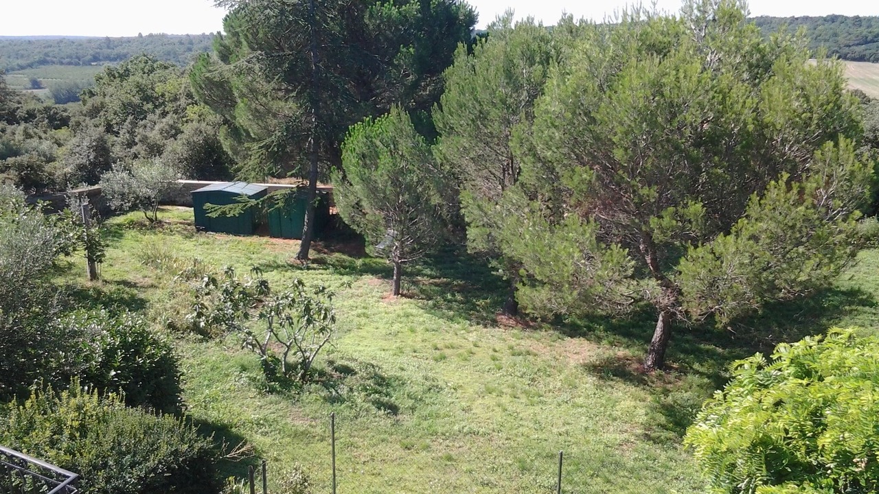 Photo of Outdoor in La Capelle-et-Masmolene