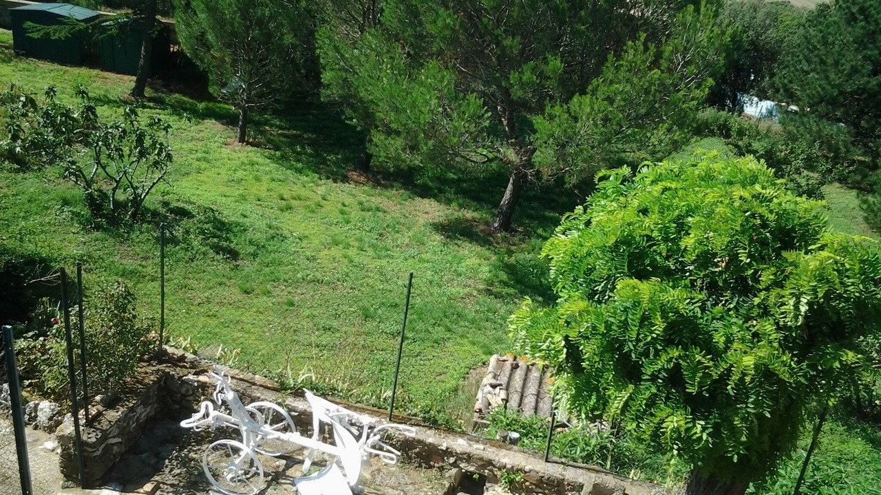 Photo of Outdoor in La Capelle-et-Masmolene
