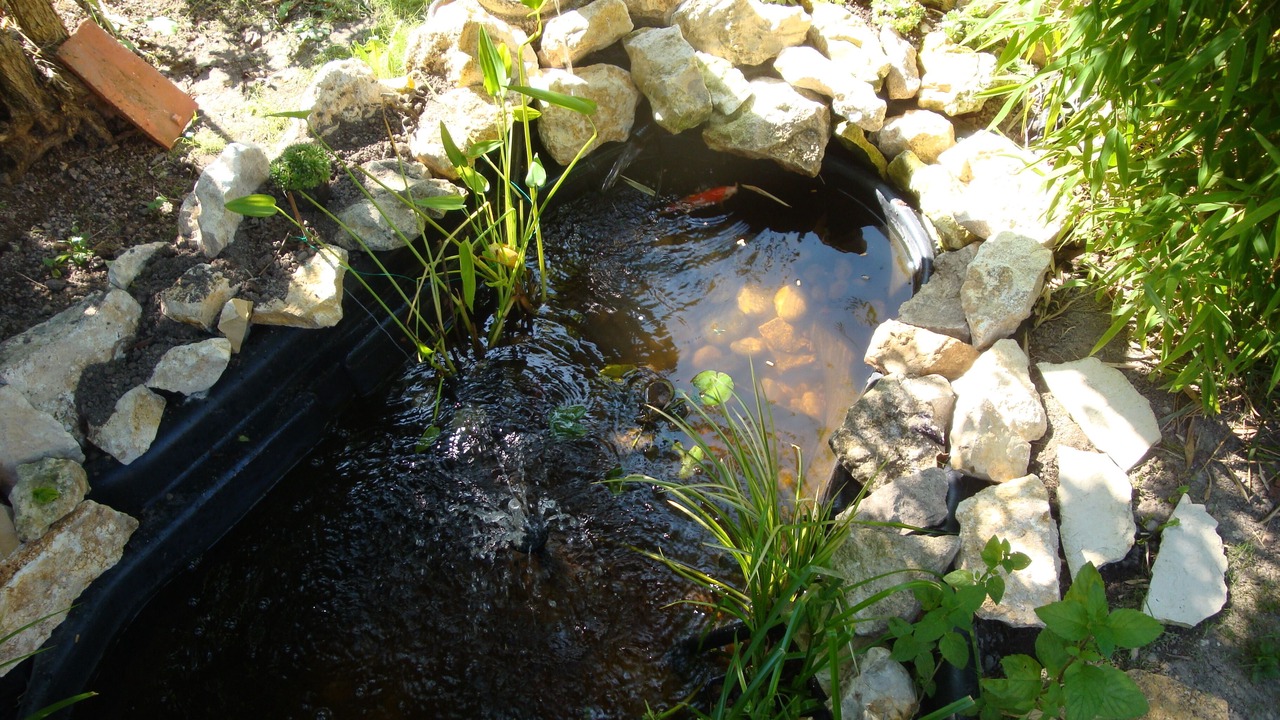 Photo of Outdoor in Cosne-Cours-sur-Loire