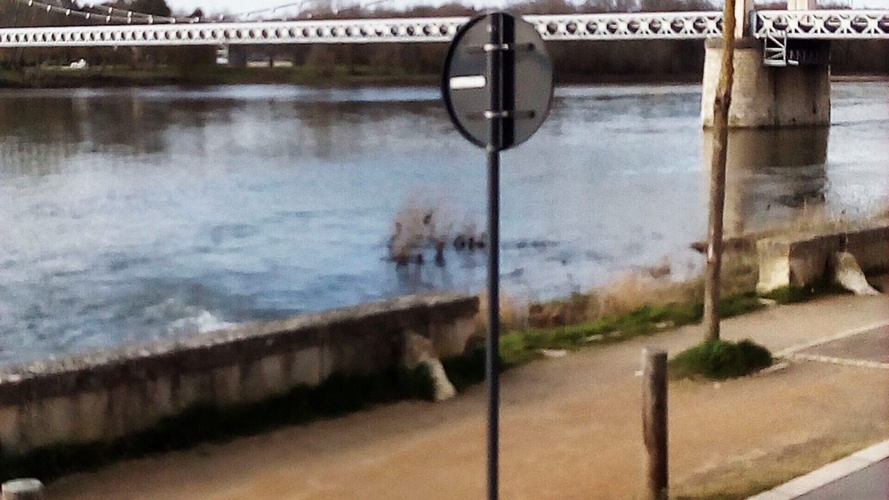Photo of Others in Cosne-Cours-sur-Loire