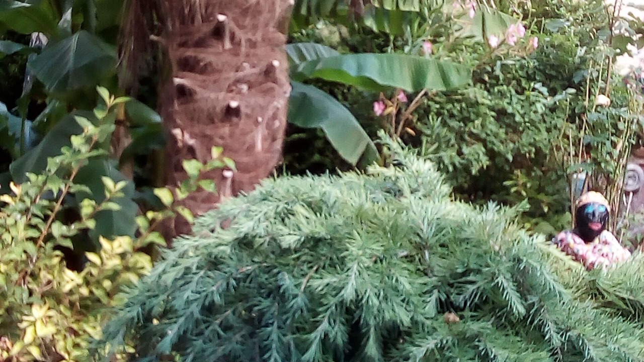 Photo of Outdoor in Cosne-Cours-sur-Loire