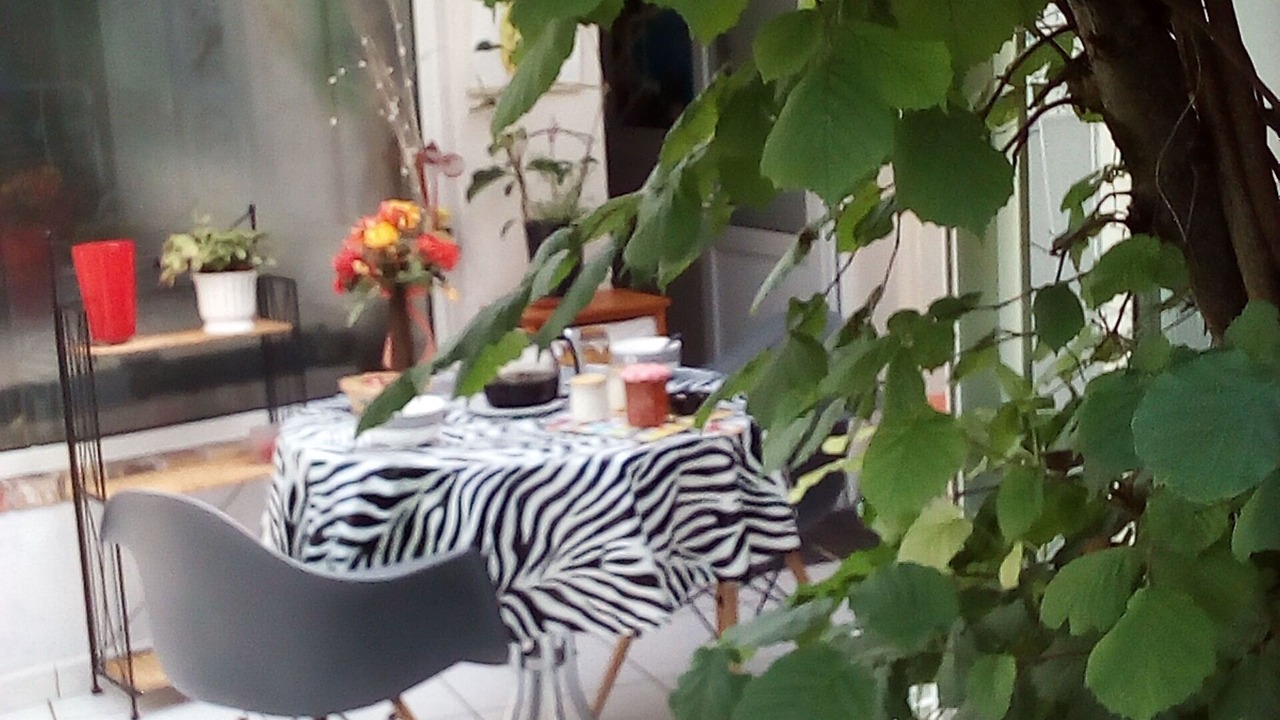 Photo of Outdoor in Cosne-Cours-sur-Loire