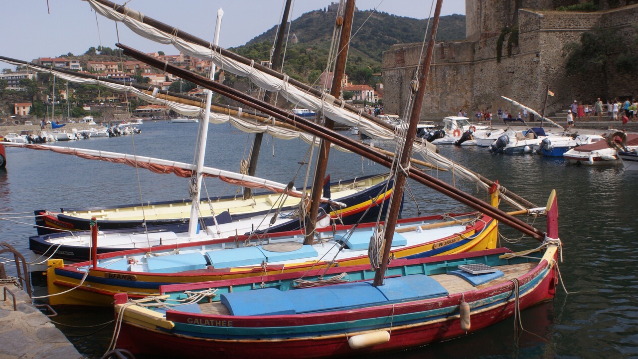 Photo of Others in Collioure