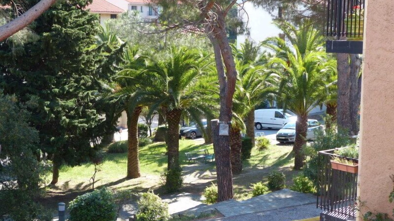 Photo of Outdoor in Collioure