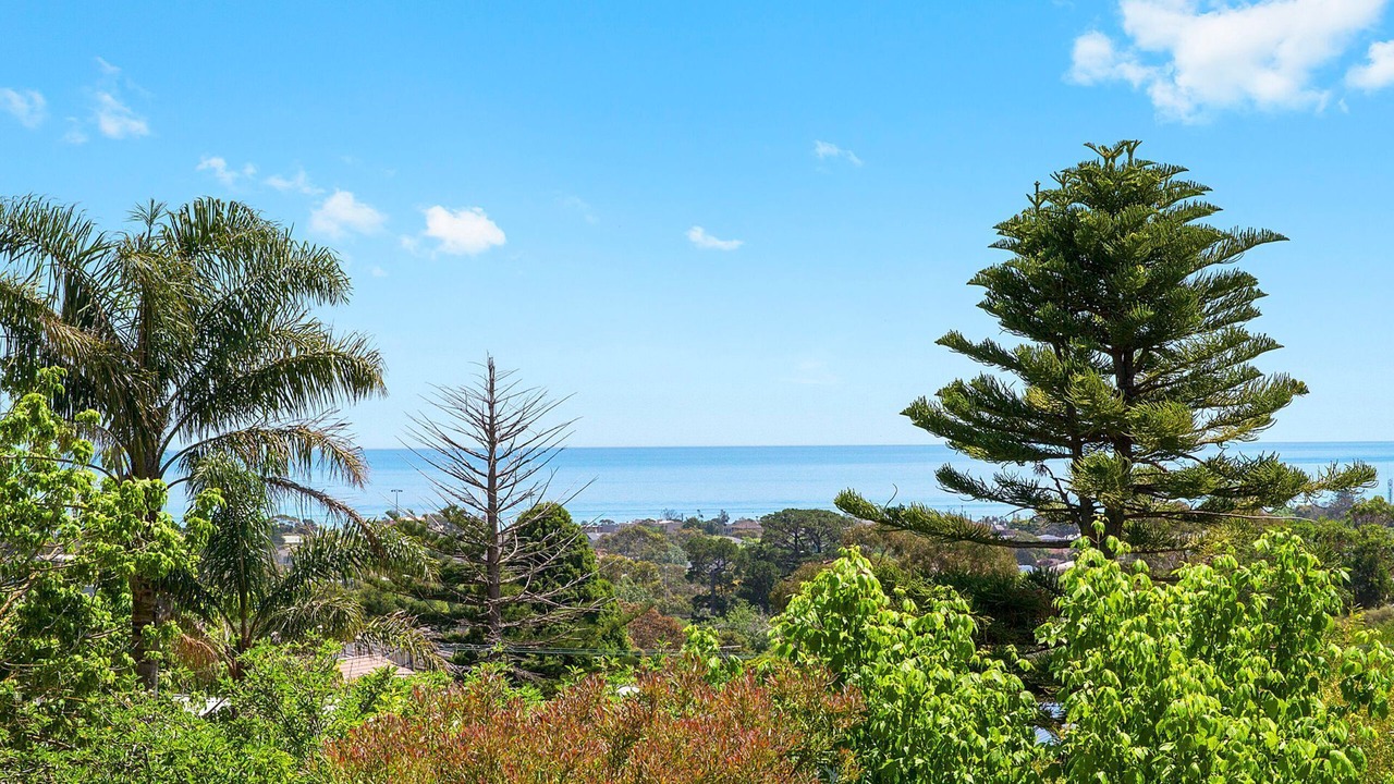 Photo of Others in Dromana