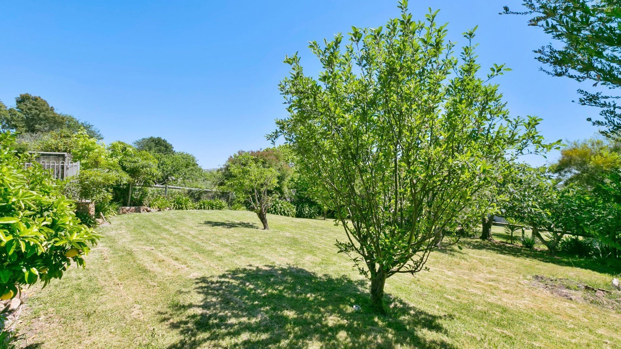 Photo of Others in Dromana