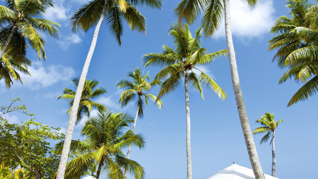 Photo of Others in Las Terrenas