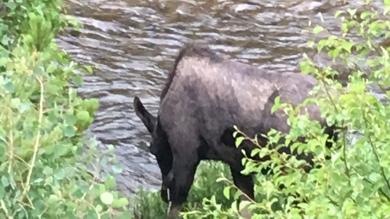 Photo of Others in Silvercreek