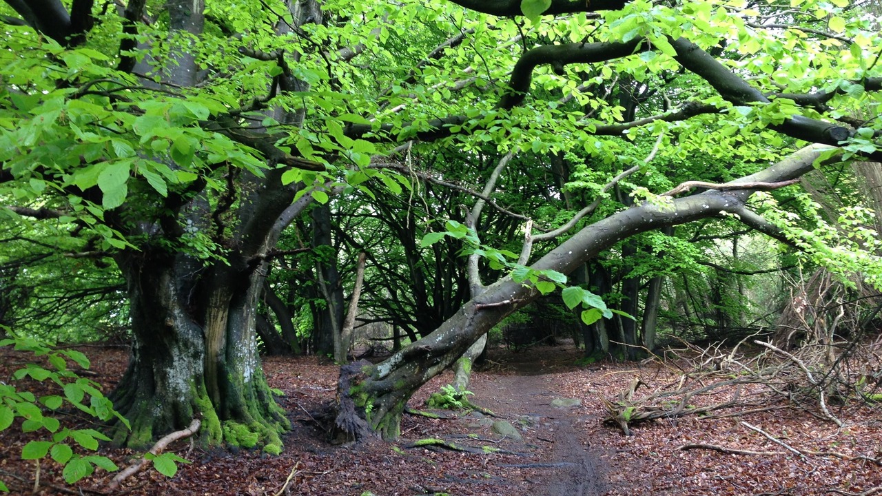 Photo of Outdoor in Femmøller