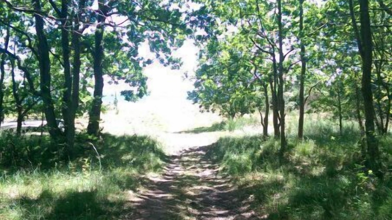 Photo of Outdoor in Femmøller