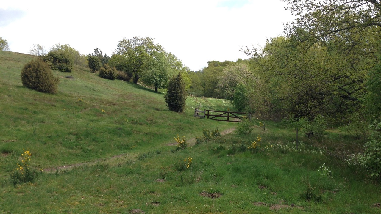 Photo of Outdoor in Femmøller