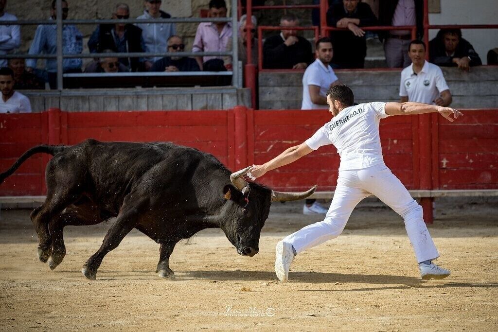 Photo of Others in Potelieres