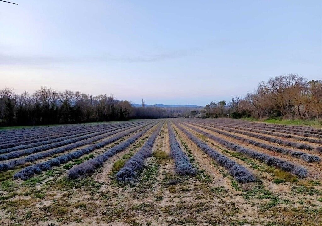 Photo of Outdoor in Potelieres