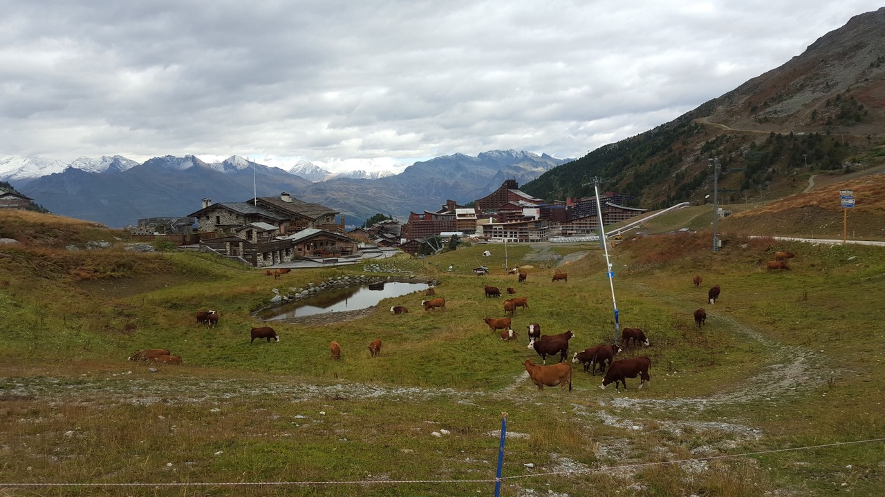 Photo of Outdoor in Arc-2000