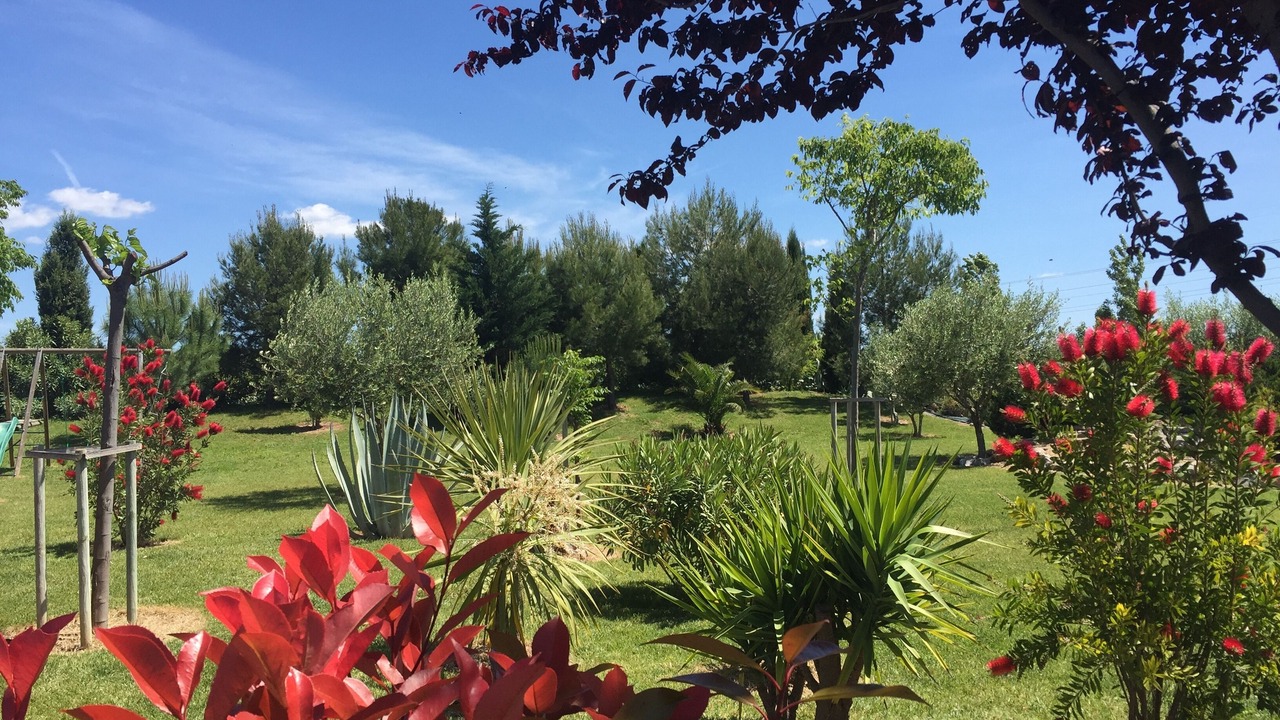 Photo of Outdoor in Plaissan