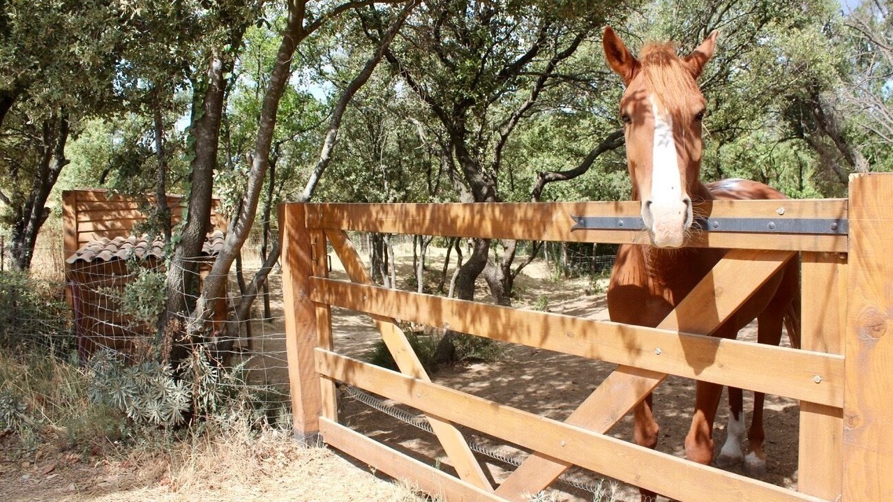 Photo of Outdoor in Plaissan