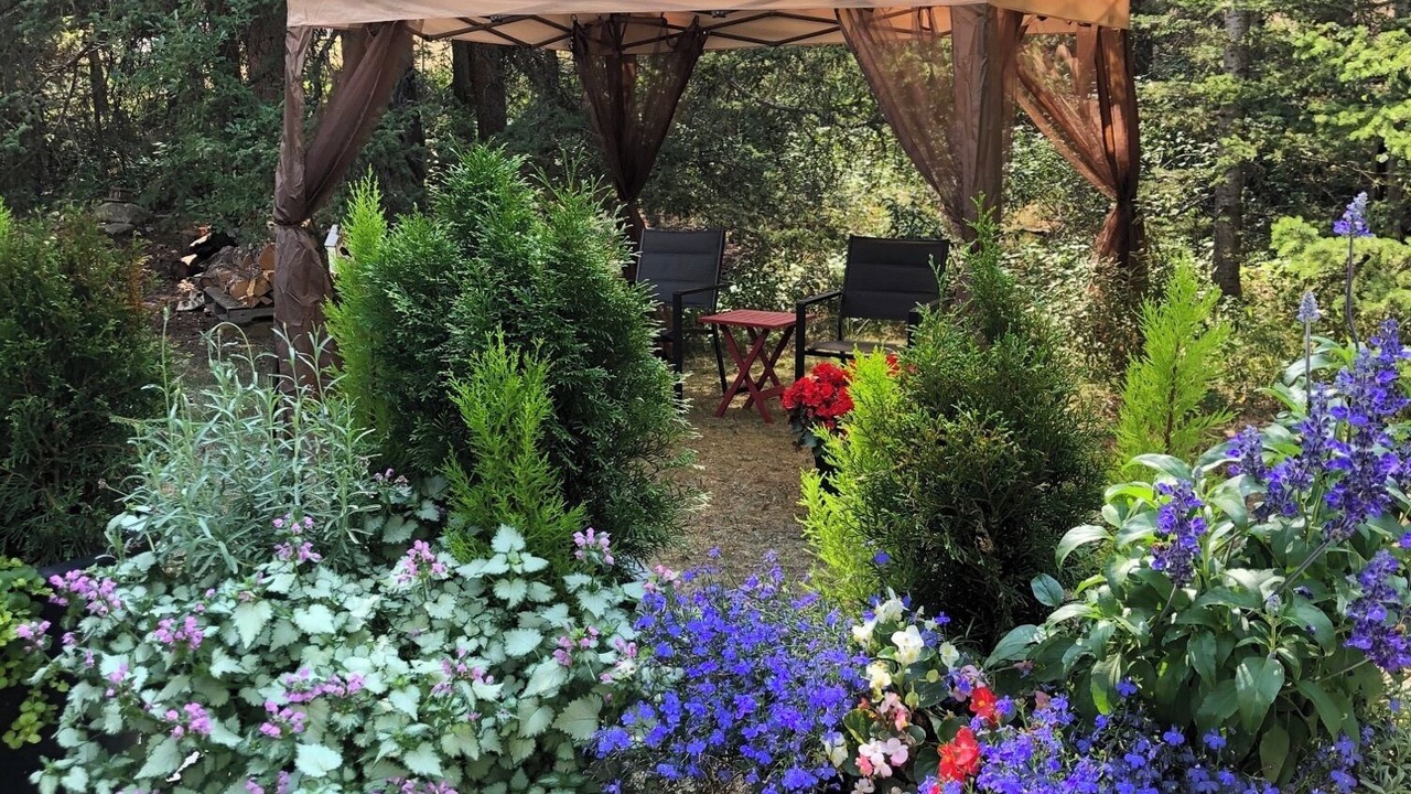 Photo of Patio Balcony in Banff