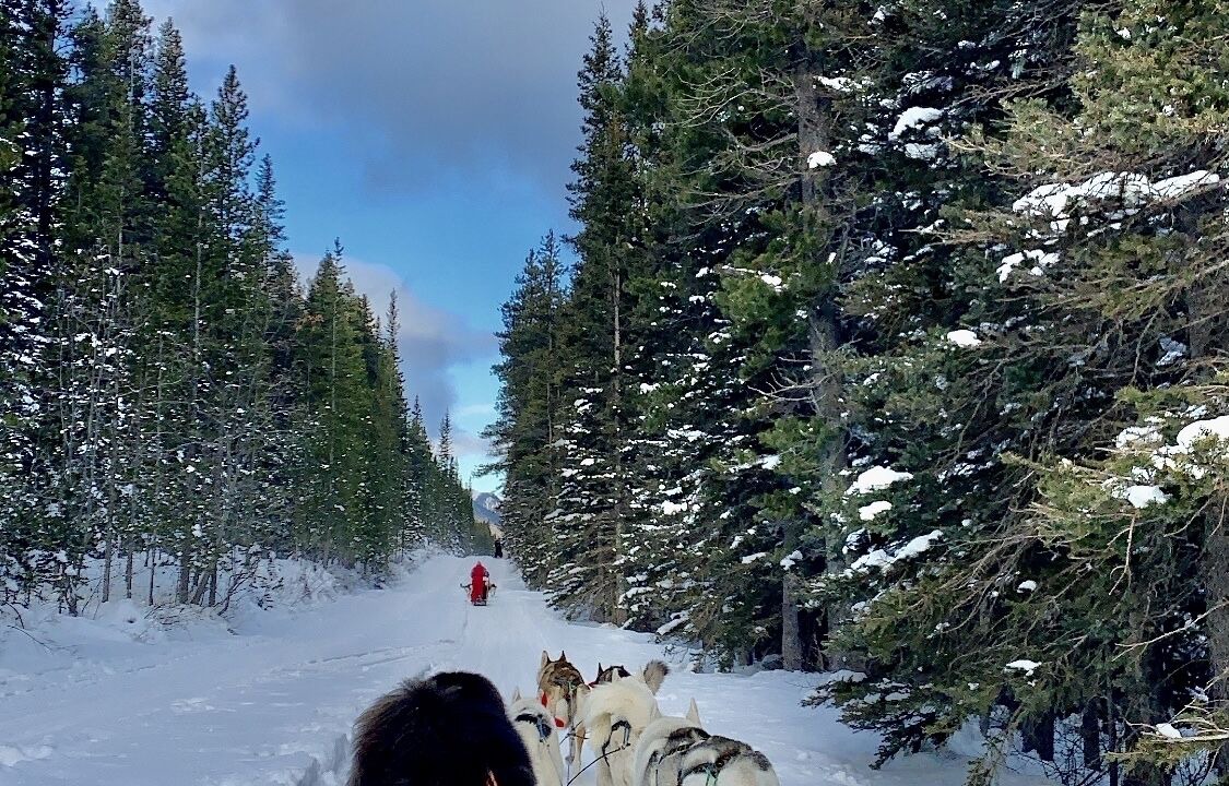 Photo of Others in Banff