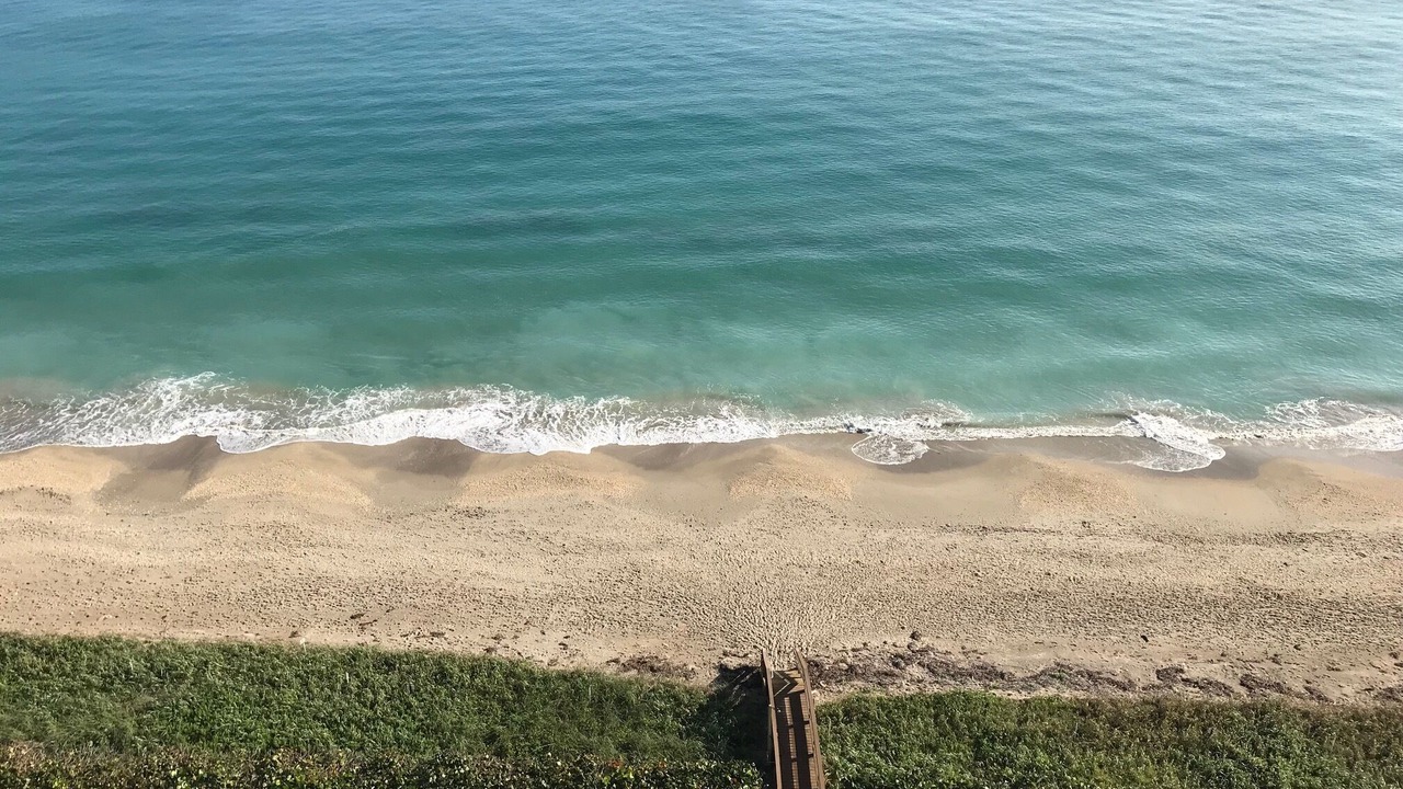 Photo of Others in Hutchinson Island South