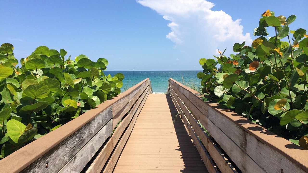 Photo of Others in Hutchinson Island South