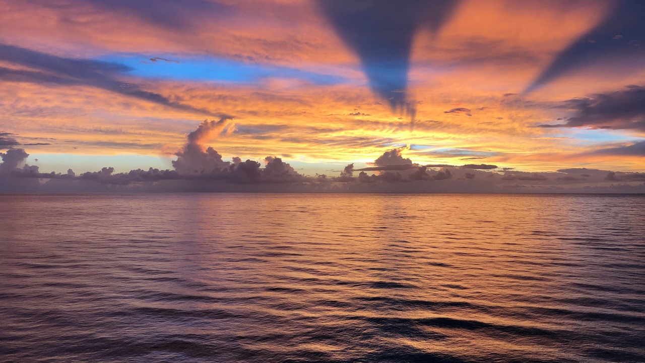 Photo of Others in Hutchinson Island South