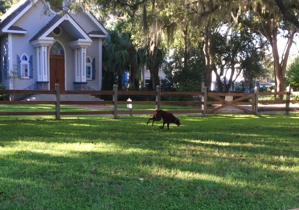Photo of Others in Steinhatchee