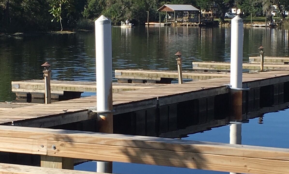 Photo of Others in Steinhatchee