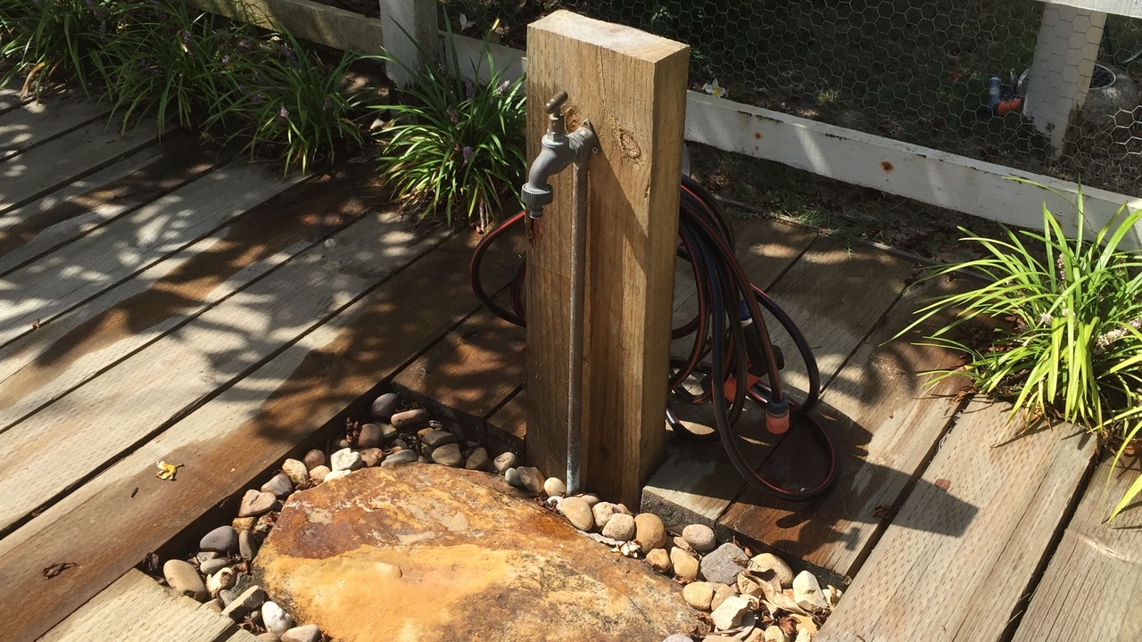 Photo of Others in Patonga