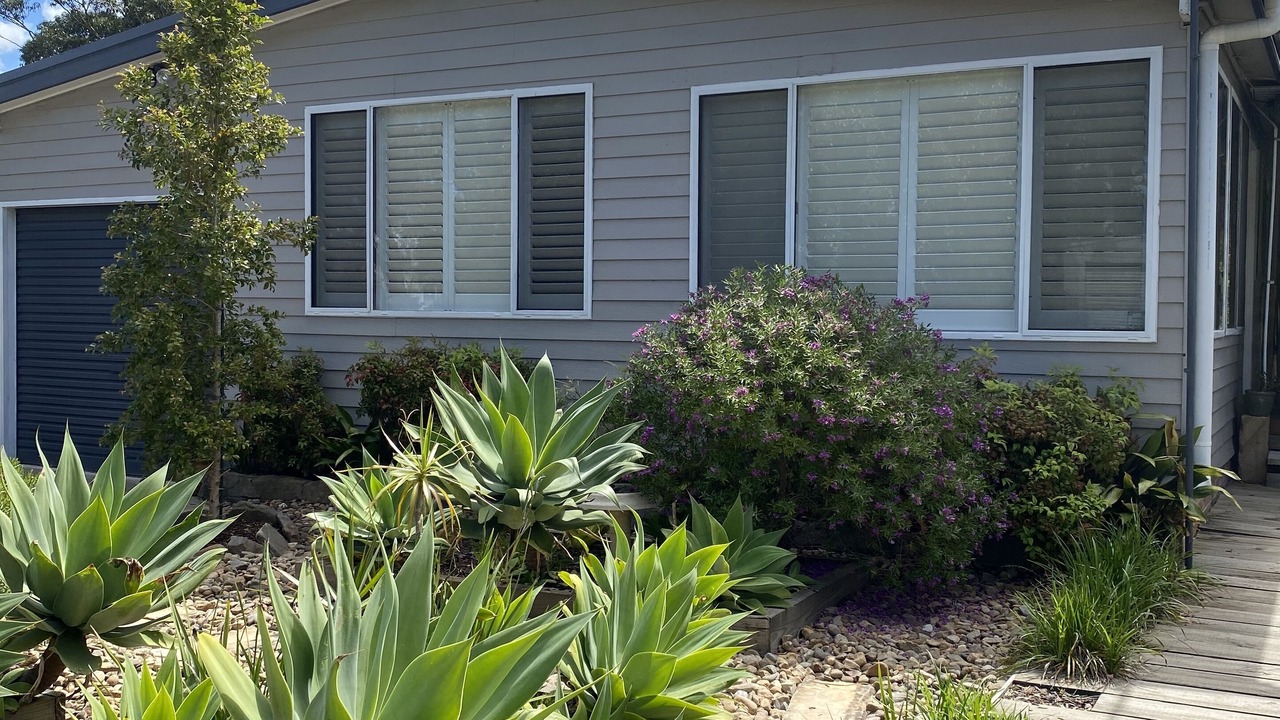 Photo of Others in Patonga