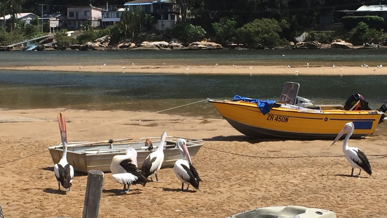 Photo of Others in Patonga