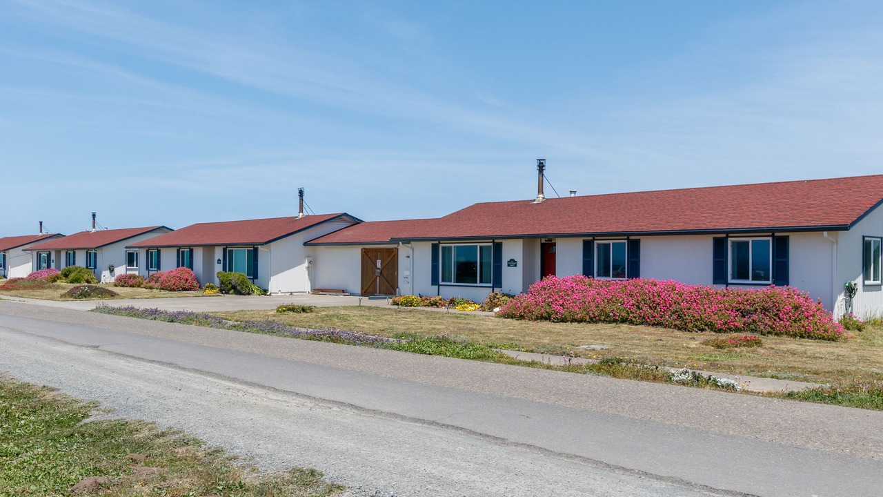 Photo of Outdoor in Point Arena